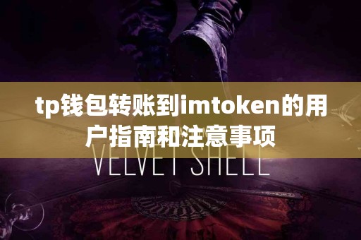 tp钱包转账到imtoken的用户指南和注意事项