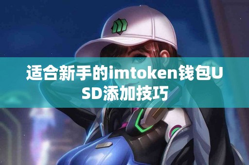适合新手的imtoken钱包USD添加技巧