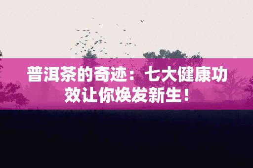 普洱茶的奇迹：七大健康功效让你焕发新生！
