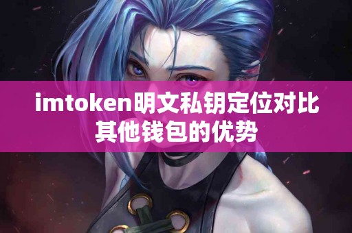 imtoken明文私钥定位对比其他钱包的优势