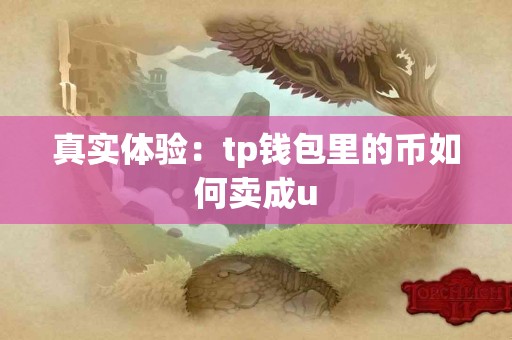真实体验：tp钱包里的币如何卖成u