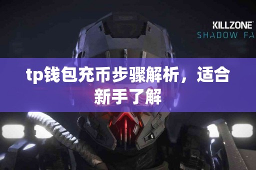 tp钱包充币步骤解析，适合新手了解