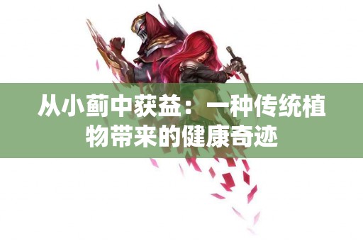 从小蓟中获益：一种传统植物带来的健康奇迹