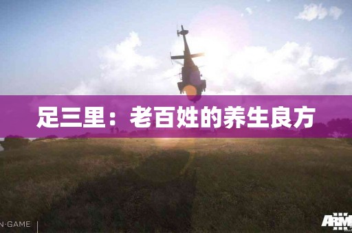 足三里：老百姓的养生良方