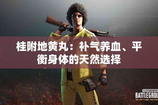 桂附地黄丸：补气养血、平衡身体的天然选择