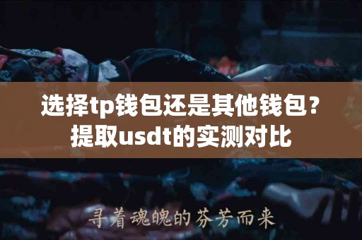 选择tp钱包还是其他钱包？提取usdt的实测对比