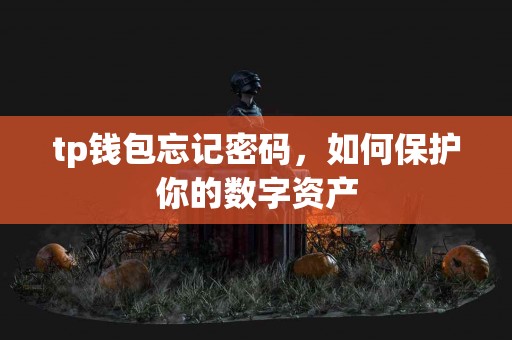 tp钱包忘记密码，如何保护你的数字资产