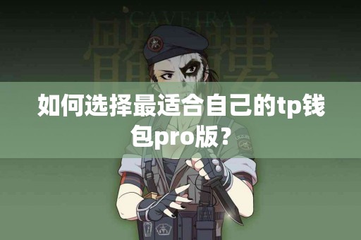 如何选择最适合自己的tp钱包pro版？