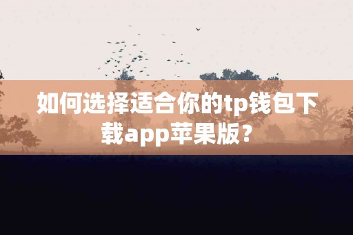 如何选择适合你的tp钱包下载app苹果版？