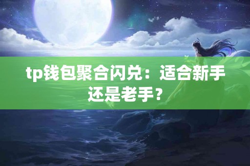 tp钱包聚合闪兑：适合新手还是老手？