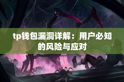 tp钱包漏洞详解：用户必知的风险与应对