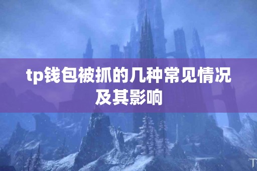 tp钱包被抓的几种常见情况及其影响