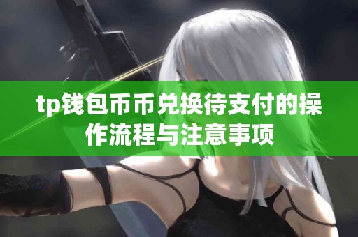 tp钱包币币兑换待支付的操作流程与注意事项