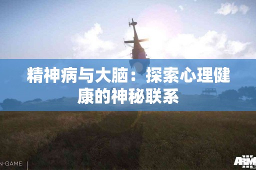 精神病与大脑：探索心理健康的神秘联系