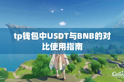 tp钱包中USDT与BNB的对比使用指南