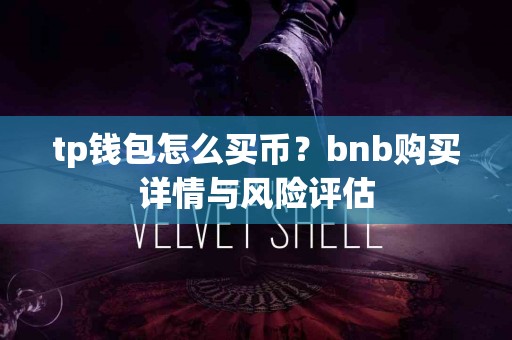 tp钱包怎么买币？bnb购买详情与风险评估