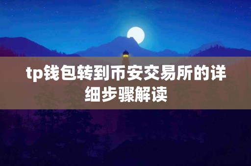 tp钱包转到币安交易所的详细步骤解读