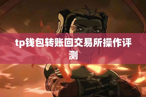 tp钱包转账回交易所操作评测