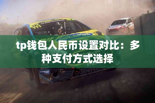 tp钱包人民币设置对比：多种支付方式选择