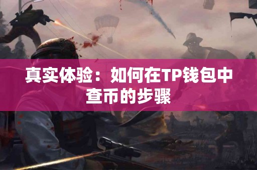 真实体验：如何在TP钱包中查币的步骤
