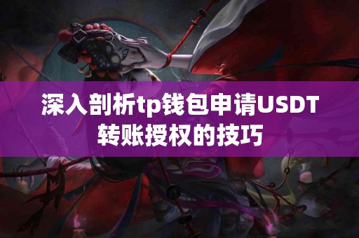 深入剖析tp钱包申请USDT转账授权的技巧
