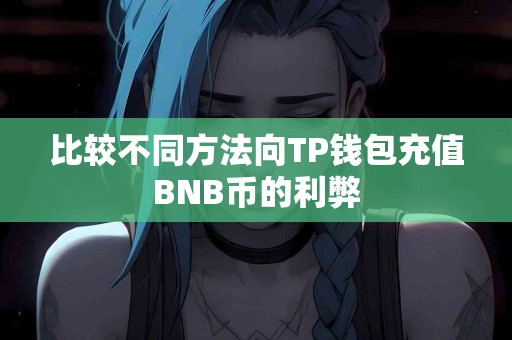 比较不同方法向TP钱包充值BNB币的利弊