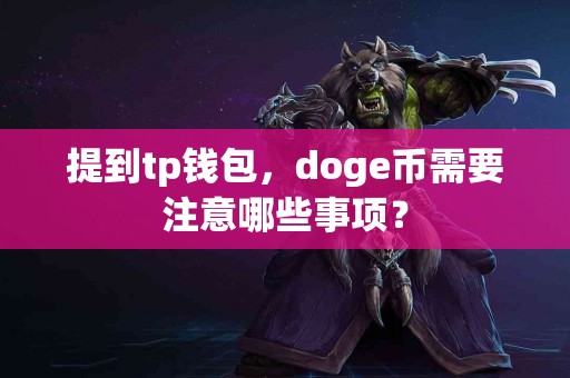 提到tp钱包，doge币需要注意哪些事项？