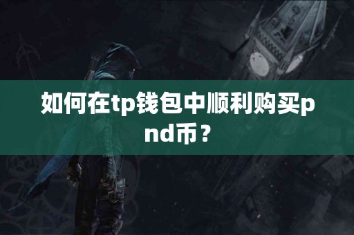 如何在tp钱包中顺利购买pnd币？