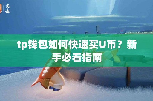 tp钱包如何快速买U币？新手必看指南