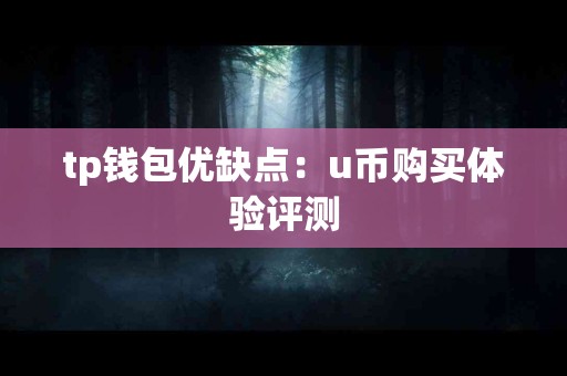 tp钱包优缺点：u币购买体验评测