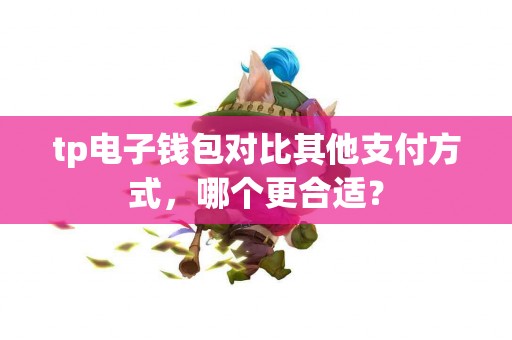 tp电子钱包对比其他支付方式，哪个更合适？