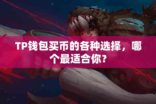 TP钱包买币的各种选择，哪个最适合你？