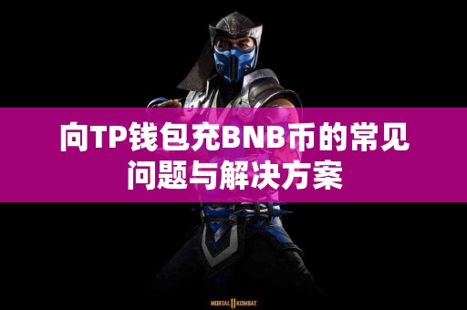 向TP钱包充BNB币的常见问题与解决方案