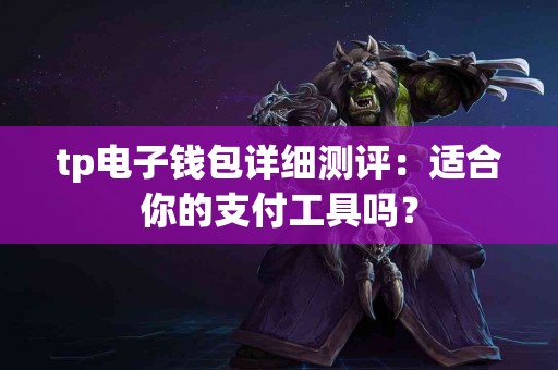 tp电子钱包详细测评：适合你的支付工具吗？
