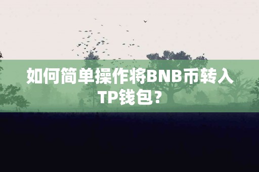 如何简单操作将BNB币转入TP钱包？